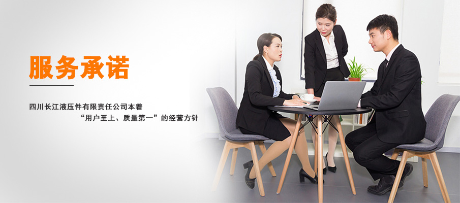 1546045597753930.jpg 服務(wù)承諾.jpg